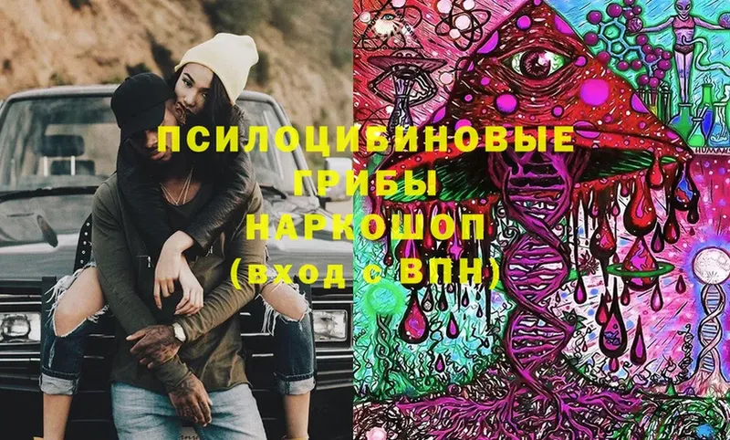 Псилоцибиновые грибы мухоморы  Камызяк 